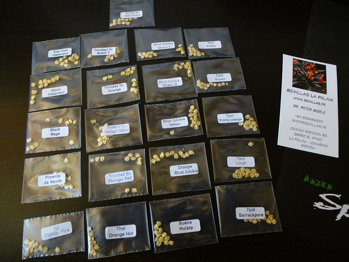 pepper-seeds.jpg